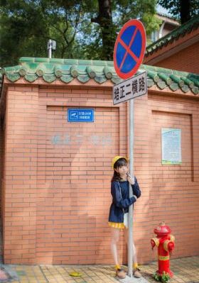 视频一区二区国产_DVD手机免费观看完整